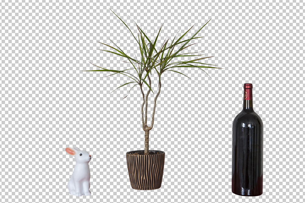 5-bilder freistellen