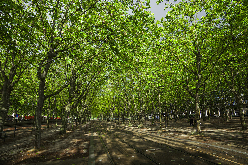 Silicon Valley ist Bordeaux von Frankreich