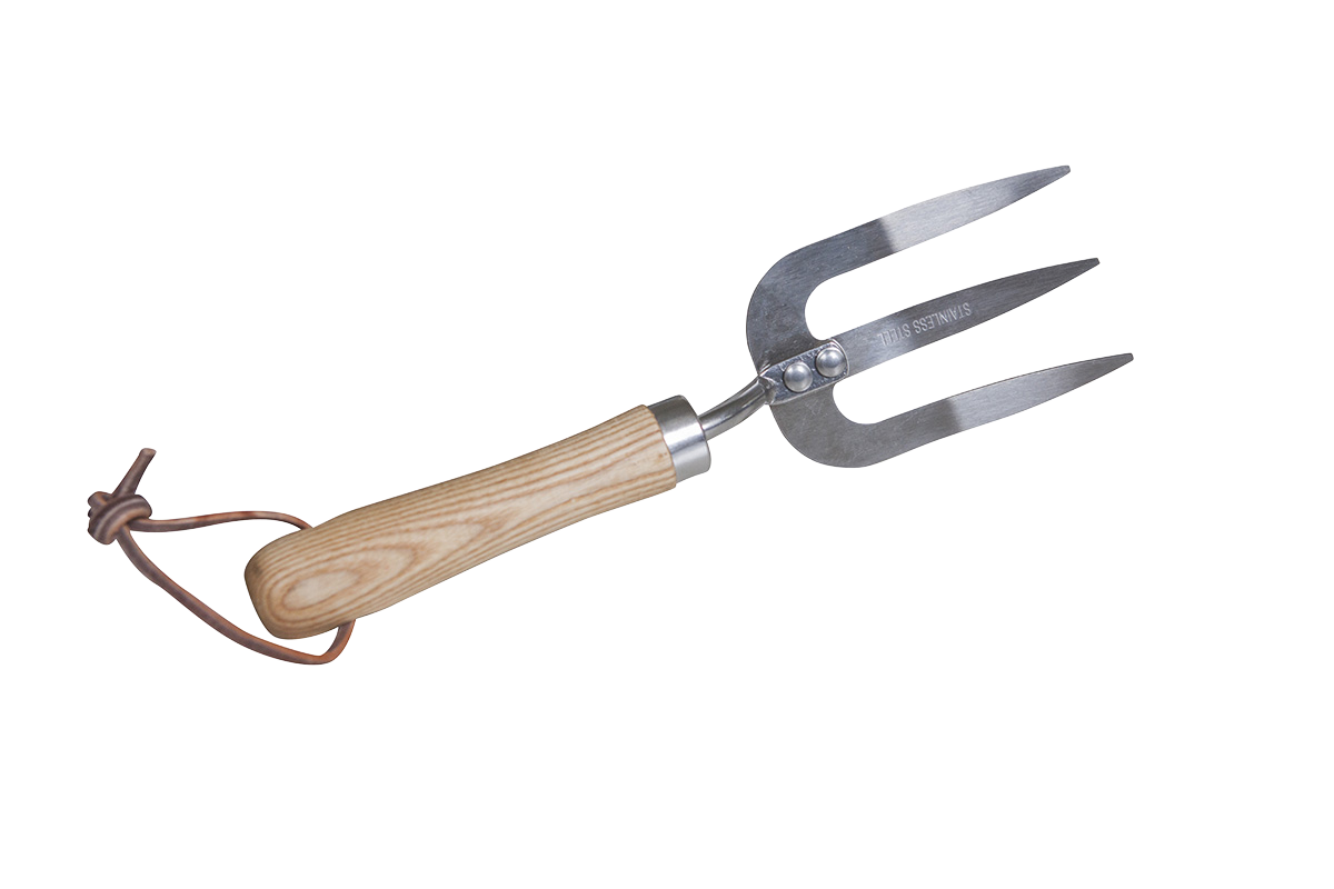 bilder freistellen transparent