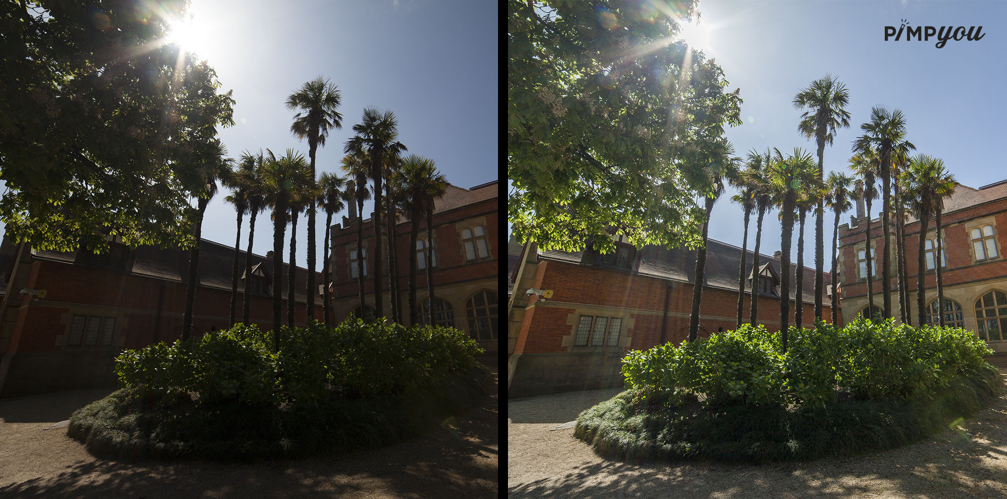 entwicklung von RAW Daten Service anbieter pimpyou