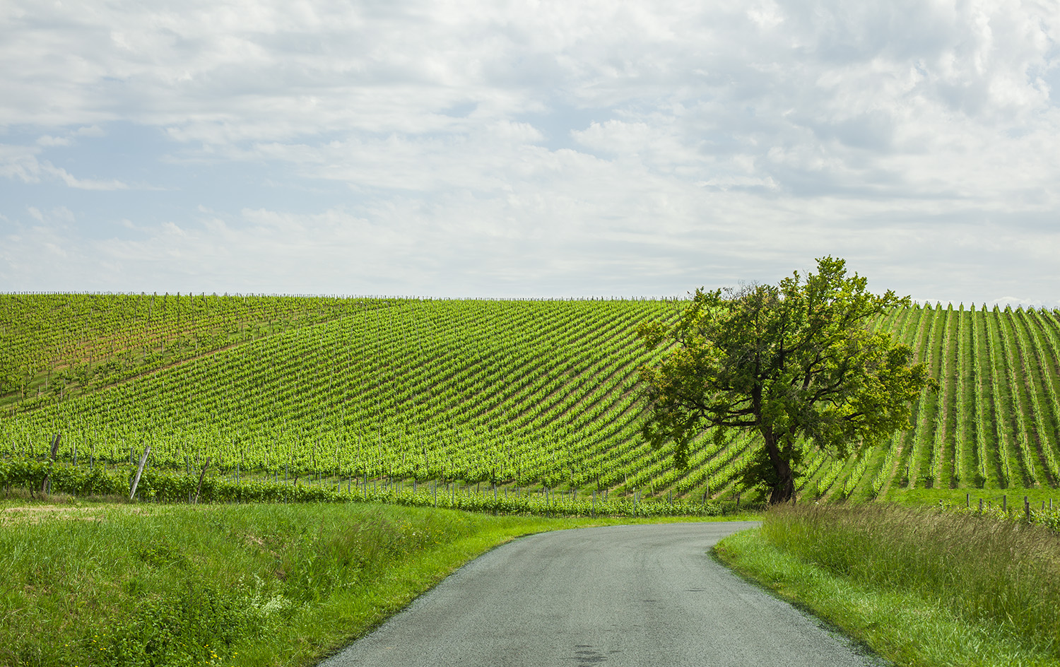 french Silicon Valley ist Bordeaux