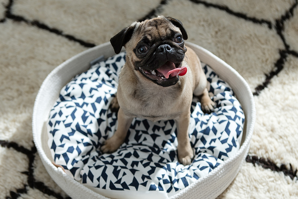 produkre bildretusche