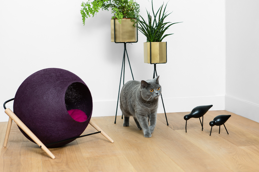 produktfotos perfekt bearbeiten